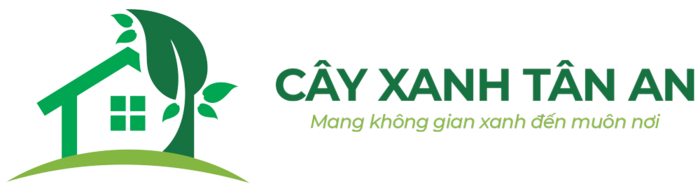 Cây trồng trong nhà: 33 mẫu cây trong nhà mang tài lộc hợp phong thuỷ fix